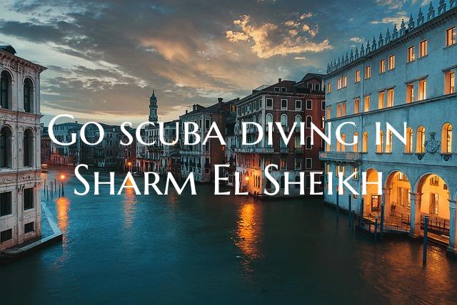 Go scuba diving in Sharm El Sheikh
