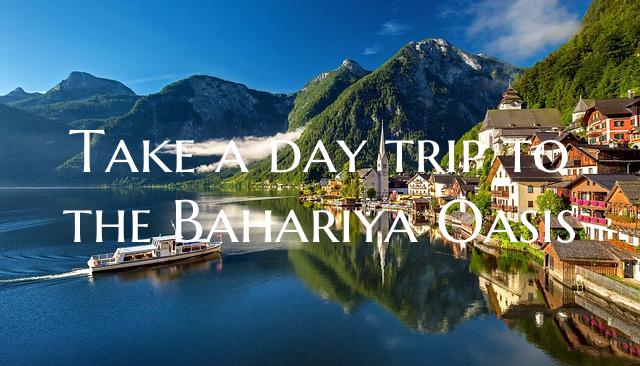 Take a day trip to the Bahariya Oasis